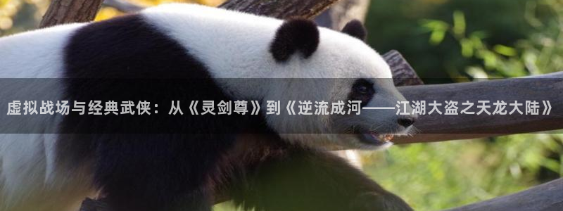 51动漫入口：虚拟战场与经典武侠：从《灵剑尊》到《逆流成河——江湖大盗之天龙大陆》