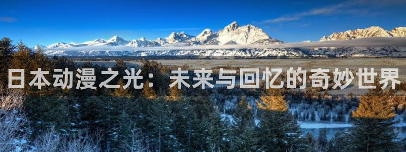 51动漫网站首页：日本动漫之光：未来与回忆的奇妙世界